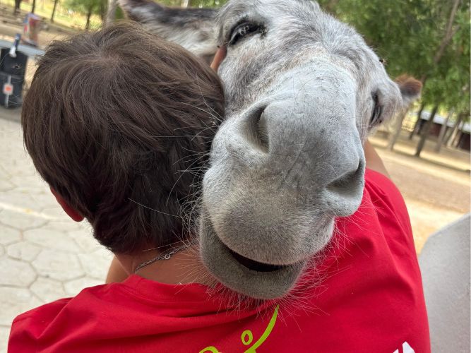 abrazo-burro