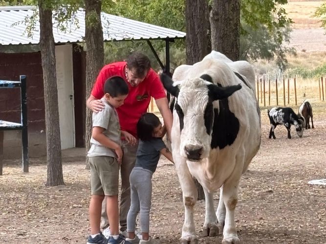 ninos-vaca